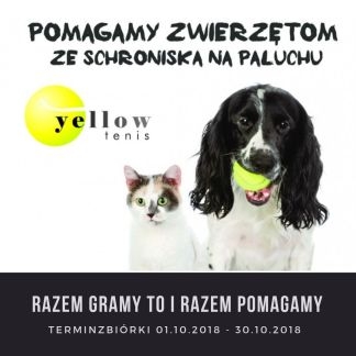 Razem gramy – razem pomagamy – II edycja